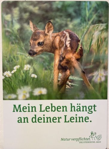 Ein junges Rehkitz in einem Feld. Das Bild hat den Untertitel Mein Leben hängt an deiner Leine.