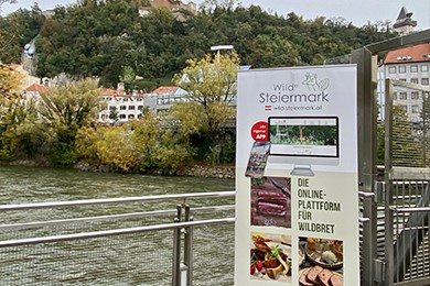 Rollup Wilde Steiermark Murinsel