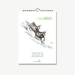 Bergwild