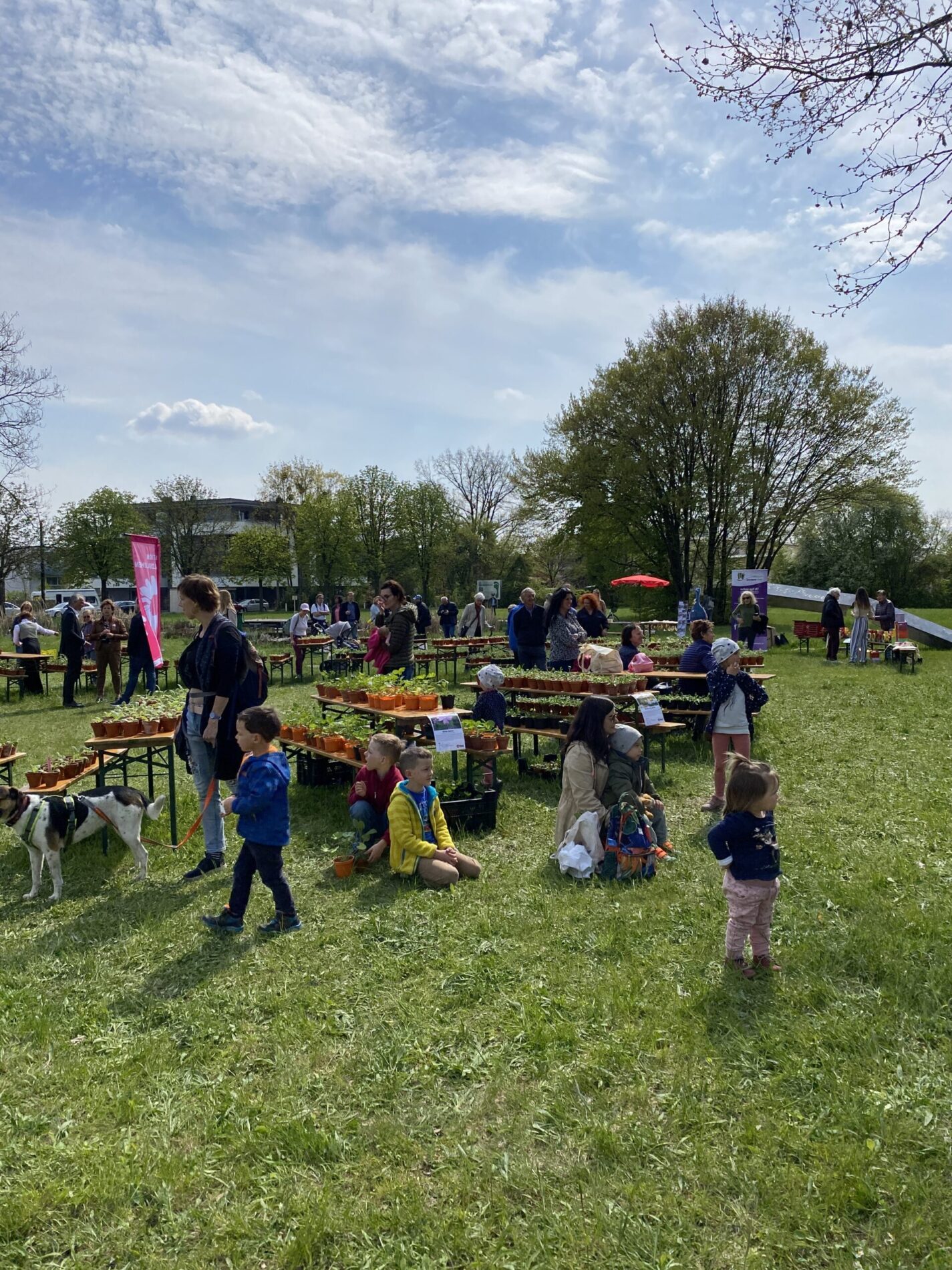 Besucher bei der Aktion Wildblumen 2022.