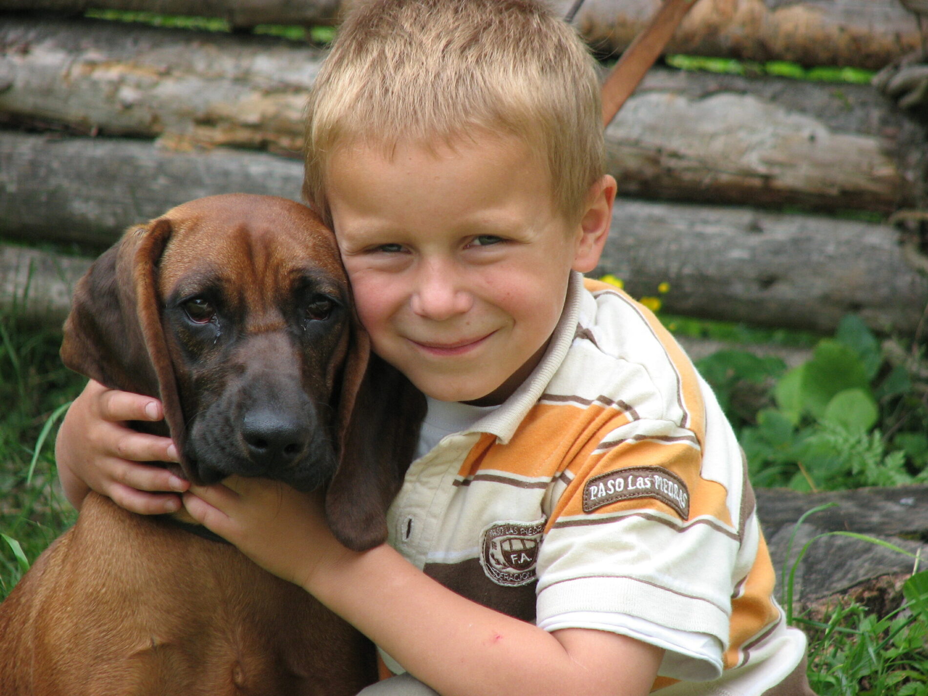 Kleiner Junge kuschelt mit bayrischem Gebirgsschweißhund.