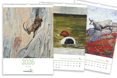 Sujet für Kalender 2026 drei überlappende Kalenderbilder