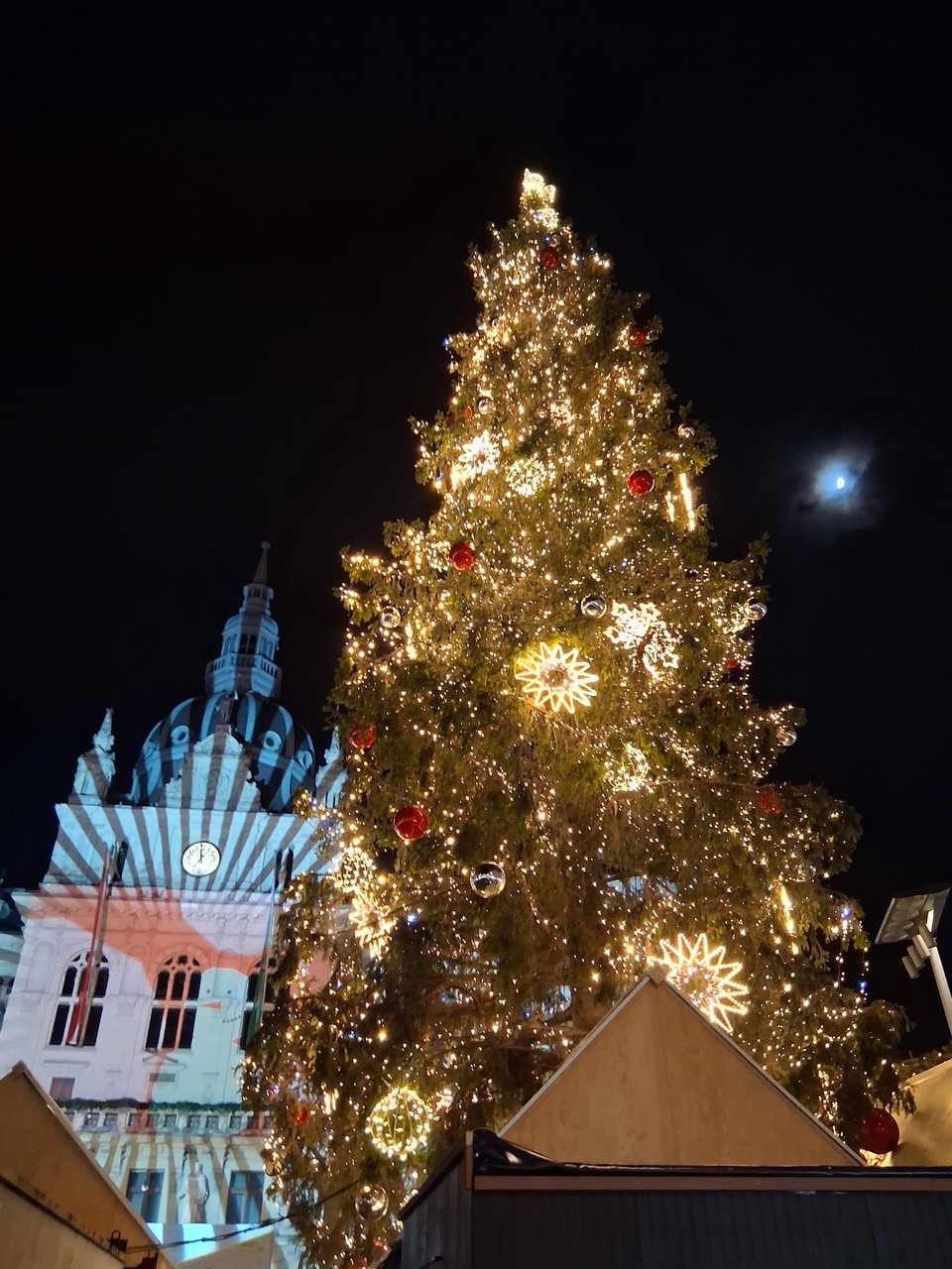 Der Weihnachtsbaum am Grazer Hauptplatz.